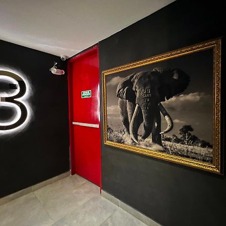 Hotel Zelva Negra Medellín Eksteriør bilde