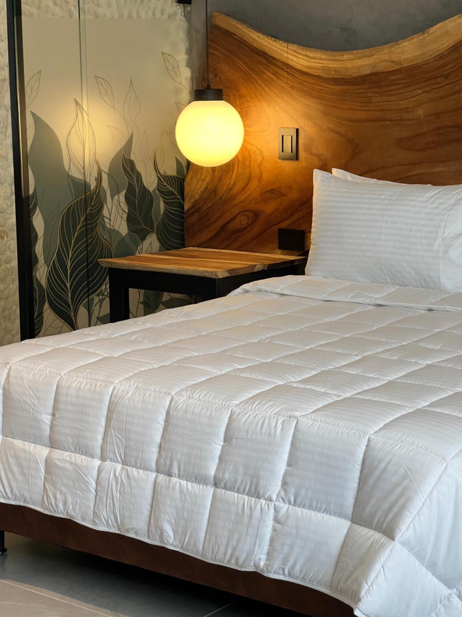 Hotel Zelva Negra Medellín Eksteriør bilde
